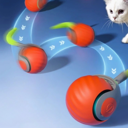 Nya "ChaseBall" 2.0