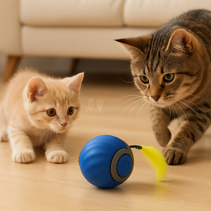 Nya "ChaseBall" 2.0