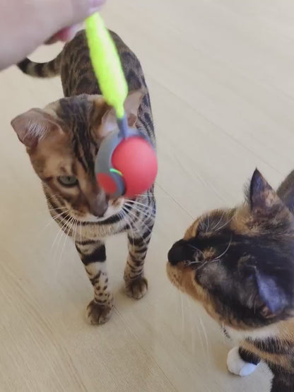 Nya "ChaseBall" 2.0