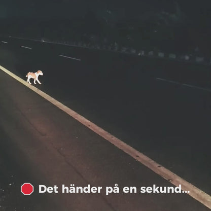 🖤NYA GlowGuard™ 2.0