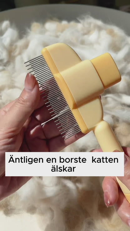 PurrBrush